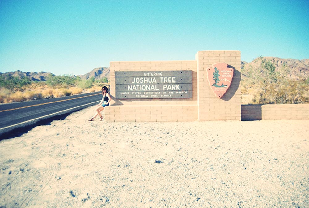 my-first-visit-to-joshua-tree-sandy-joe-karpetz-