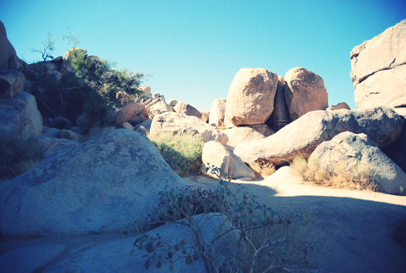 my-first-visit-to-joshua-tree-sandy-joe-karpetz-