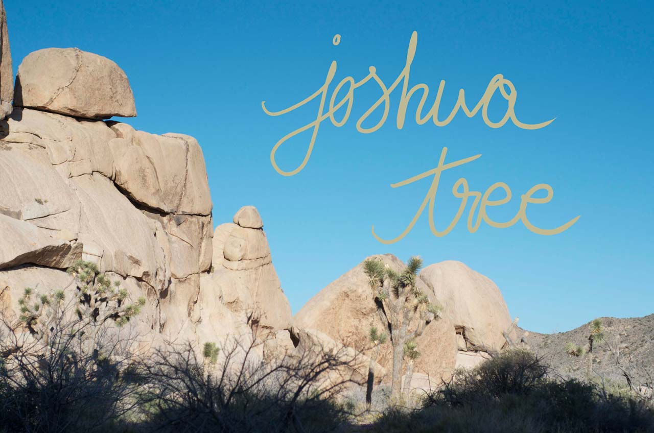 Joshua Tree is Heaven on Earth