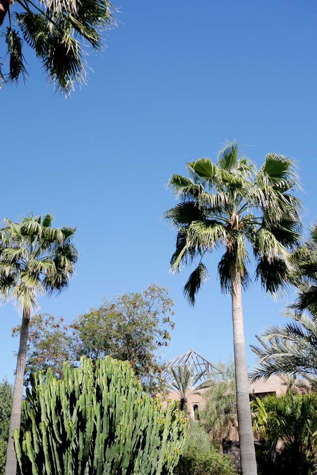 lodge-k-marrakech-sandy-joe-karpetz-