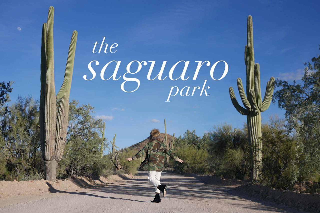 the-saguaro-park-sandy-joe-karpetz-