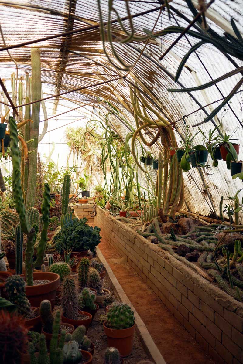 things-to-do-in-palm-springs-cibc-adventura-sandy-joe-karpetz-12 things-to-do-in-palm-springs