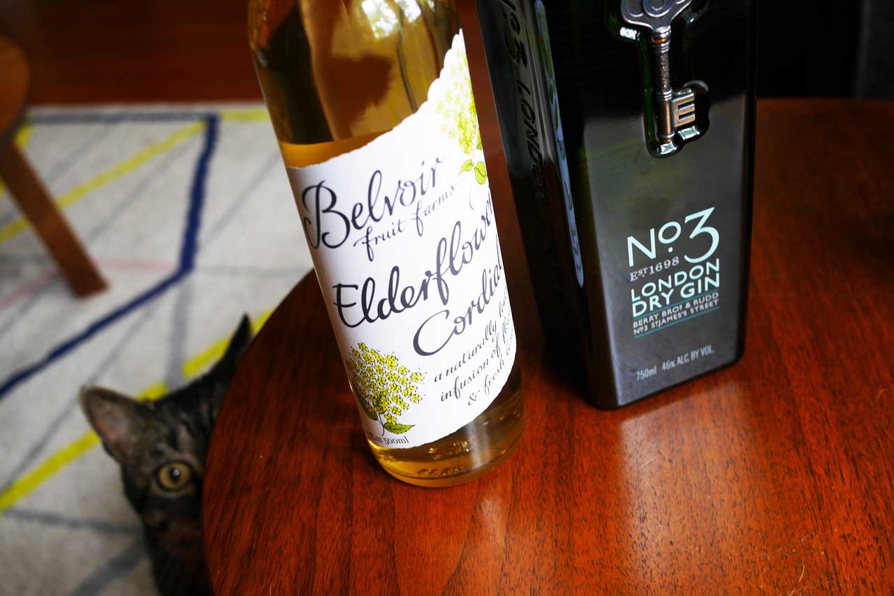 elderflower-gin-fizz-cocktail-recipe-sandy-joe-karpetz-6 elderflower-gin-fizz-cocktail-recipe-sandy-joe-karpetz-