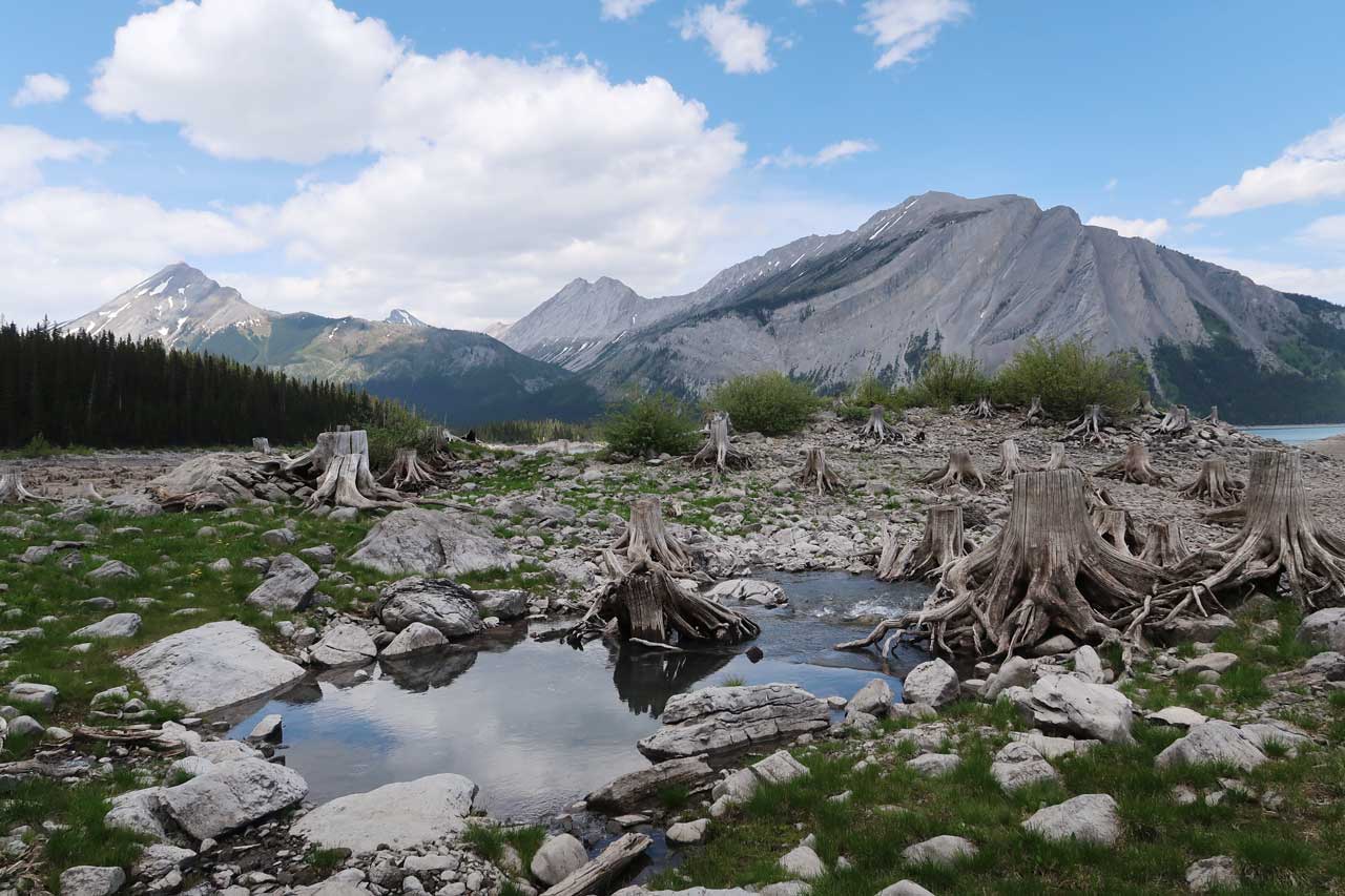 camping-in-kananaskis-sandy-joe-karpetz-5 camping-in-kananaskis-