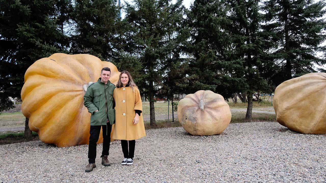 It's-the-great-pumpkin-sandy-joe-