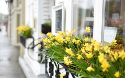 Abbotsford BC Travel Guide