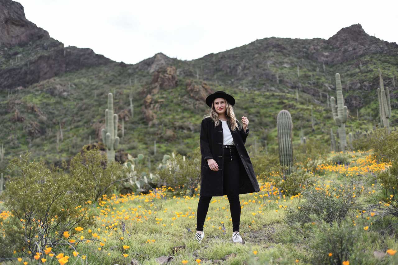 Picacho-Super-Bloom