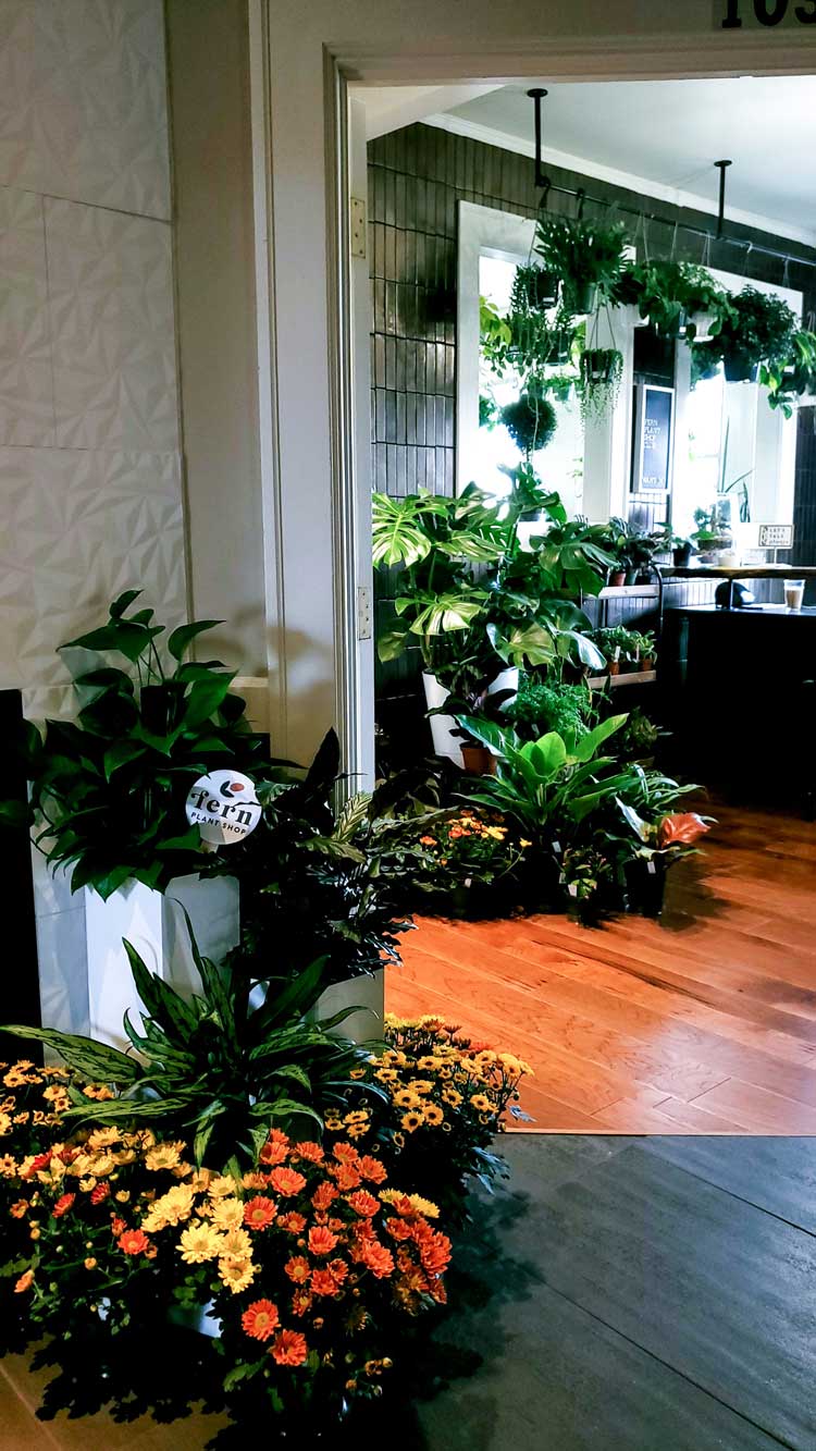 Spokane-Washington-City-Guide-the-fern-shop-Sandy-Joe-Karpetz-2 Spokane-Washington-City-Guide-the-fern-shop