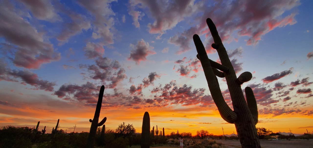 Tucson Arizona Travel Guide - Saguaro Park
