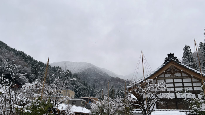 Staying at the Hakujukan Eiheiji