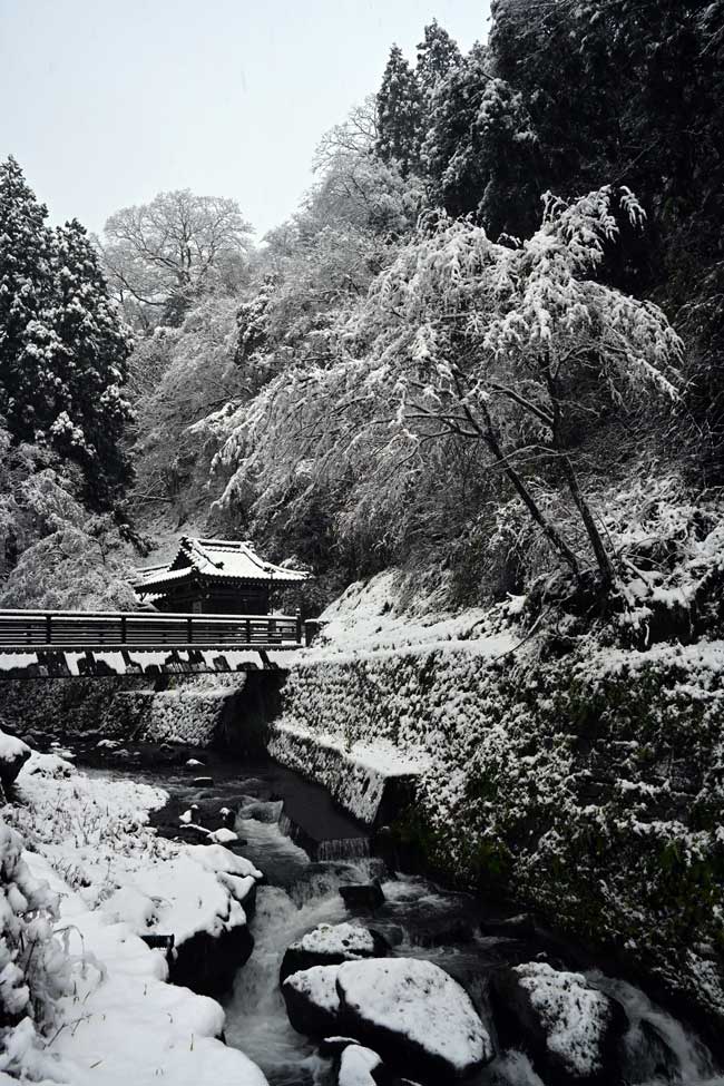 Visiting Eiheiji Temple Fukui